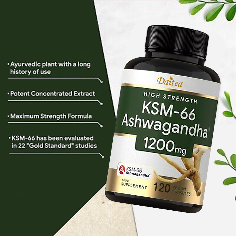 Ashwagandha 추출물 캡슐 - 천연 에너지 보충 - Ashwagandha Extract Root 리뷰 및 가격