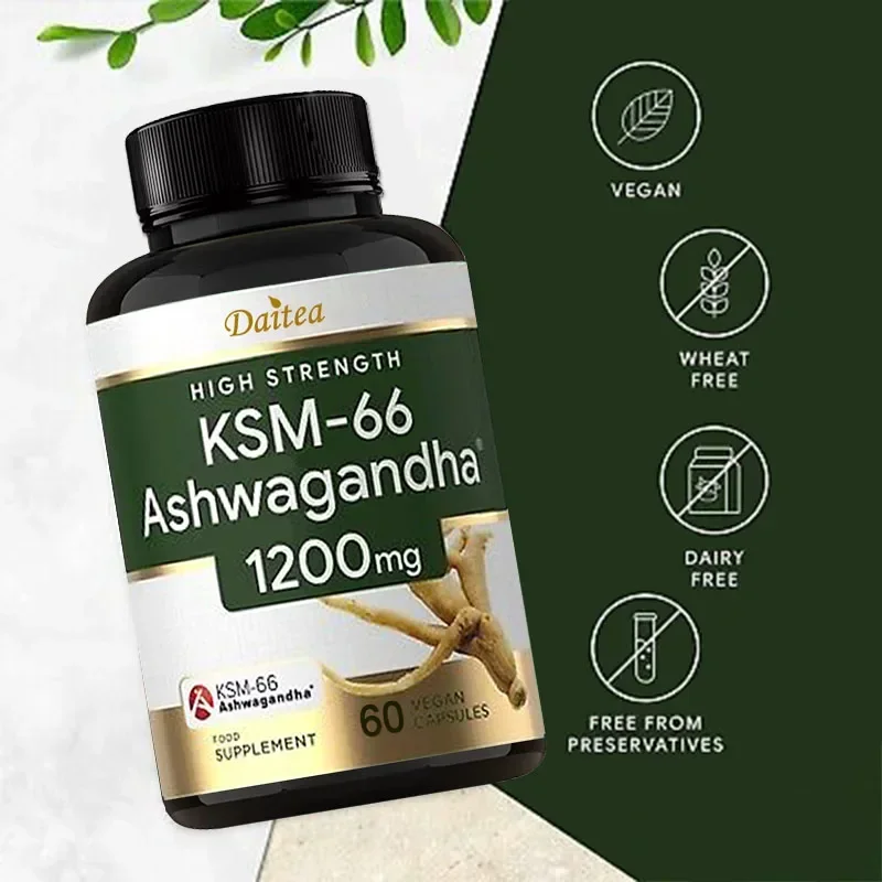 Ashwagandha 추출물 캡슐 - 천연 에너지 보충 - Ashwagandha Extract Root 리뷰 및 가격